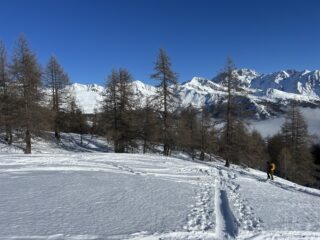 Uscita del bosco, al sole