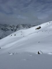 Vetta in vista