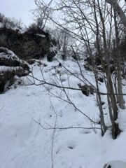Terzo tiro non relazionato che finisce nel bosco. Ravanata nella neve, ghiaccio scarso. 