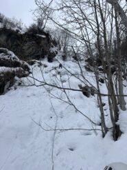 Terzo tiro non relazionato che finisce nel bosco. Ravanata nella neve, ghiaccio scarso. 