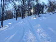 Salita nel bosco per la dorsale 