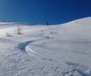 Polvere 