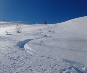Polvere 