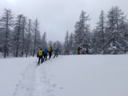 ultimo tratto nel bosco