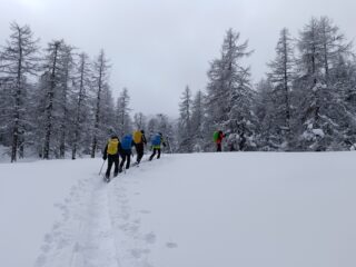 ultimo tratto nel bosco