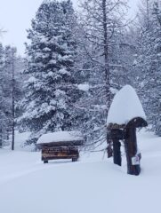 ultimo tratto in piano prima del rifugio