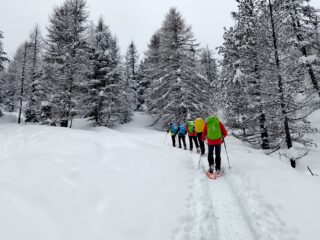 salendo prima parte