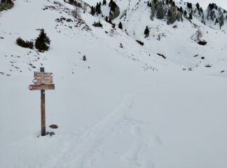 Poco dopo la pista battuta dal gatto 