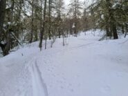 Prima parte della salita nel bosco.