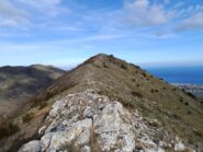 Monte Pesalto (m.686)