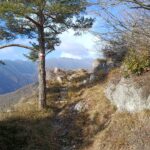 Il Sentiero che da Erli porta alla Madonna della Guardia 