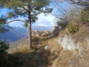 Il Sentiero che da Erli porta alla Madonna della Guardia 