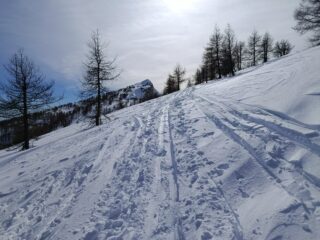 Verso la Cima Missun 