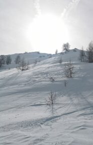 rhdr