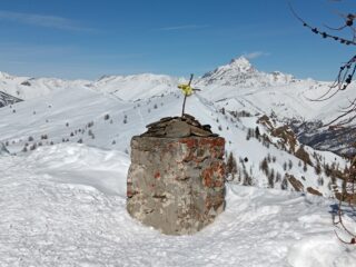 Monte Festa 2130 mt.