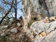 Sulle tracce di sentiero che con lungo giro portano sulla cresta per la Via dei Daini 