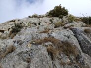Tratto delle placche 