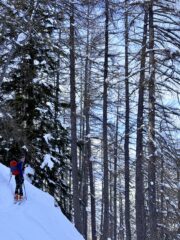 Pendenze nel bosco