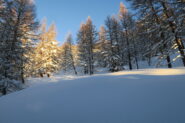 in salita nel bosco
