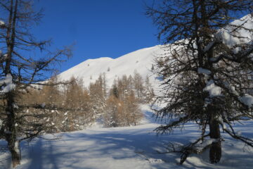 la cima