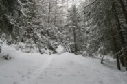 la traccia di salita nel bosco