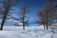 Fine lariceto