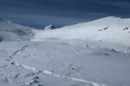 L'avventatezza di un lupo