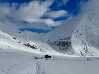Arrivati al pian dell’Alpe 