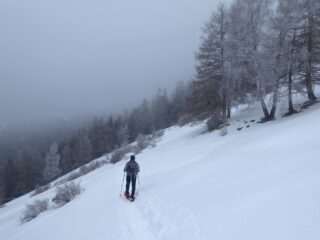 In discesa, a valle de La Pesse Dessus.