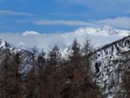 Castore e Lyskamm dall'Alpe Leretta.