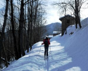 Ripello sulla stradina di rientro a Serre