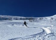 Buona farina a nord