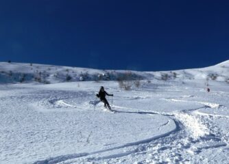 Buona farina a nord