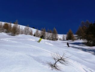 Primaverile tra i larici