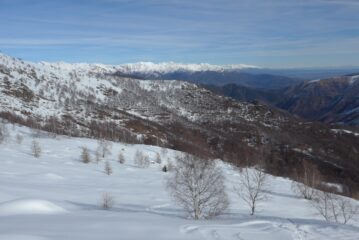 Tutte le Alpi