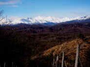 Panorama sui monti del Biellese...e oltre.