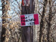 Su Cima Frascheia.