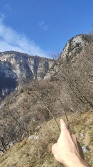 Traccia in mezza costa da seguire a sinistra in corrispondenza di un piccolo pratino, verso il traliccio