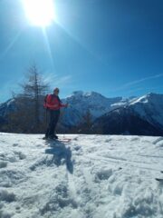 Fallere