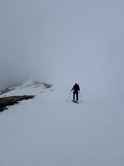 Verso il whiteout