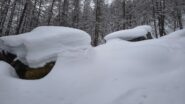 Buon innevamento in zona