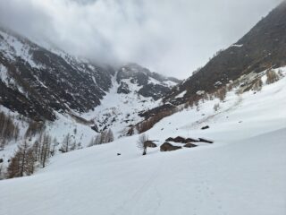 Alpe Crosenna