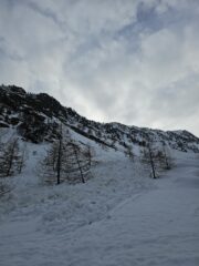 Distacco poco oltre il bosco