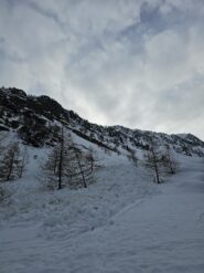 Distacco poco oltre il bosco
