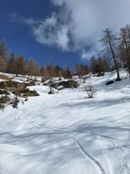 Neve perfetta anche nel bosco