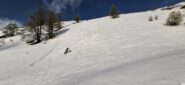 Neve splendida