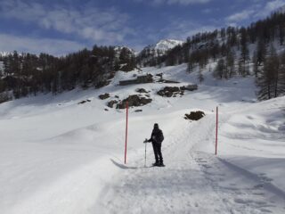 Verso l'Alpe Chery.