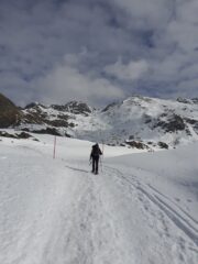 Verso l'Alpe Champlong.
