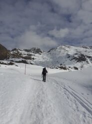 Verso l'Alpe Champlong.