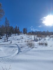 La striscia di bosco rado a valle del cambio di pendenza